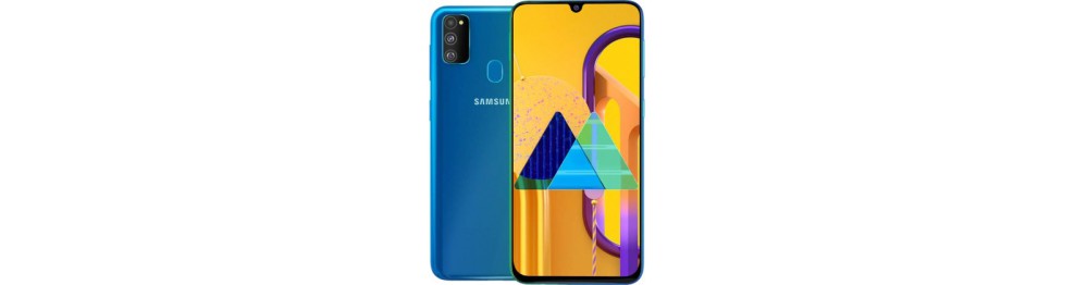 Samsung Galaxy M30s SM-M307F - náhradné diely na mobily